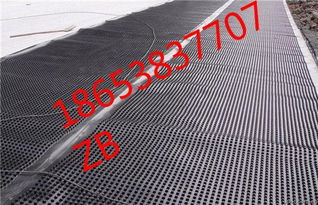 濟寧優質植草格廠家推薦與塑料植草格產品圖片展示